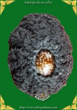 เบี้ยแก้สารพัดกัน-สารพัดแก้ หลวงพ่อสาย วัดนามวิจิตร